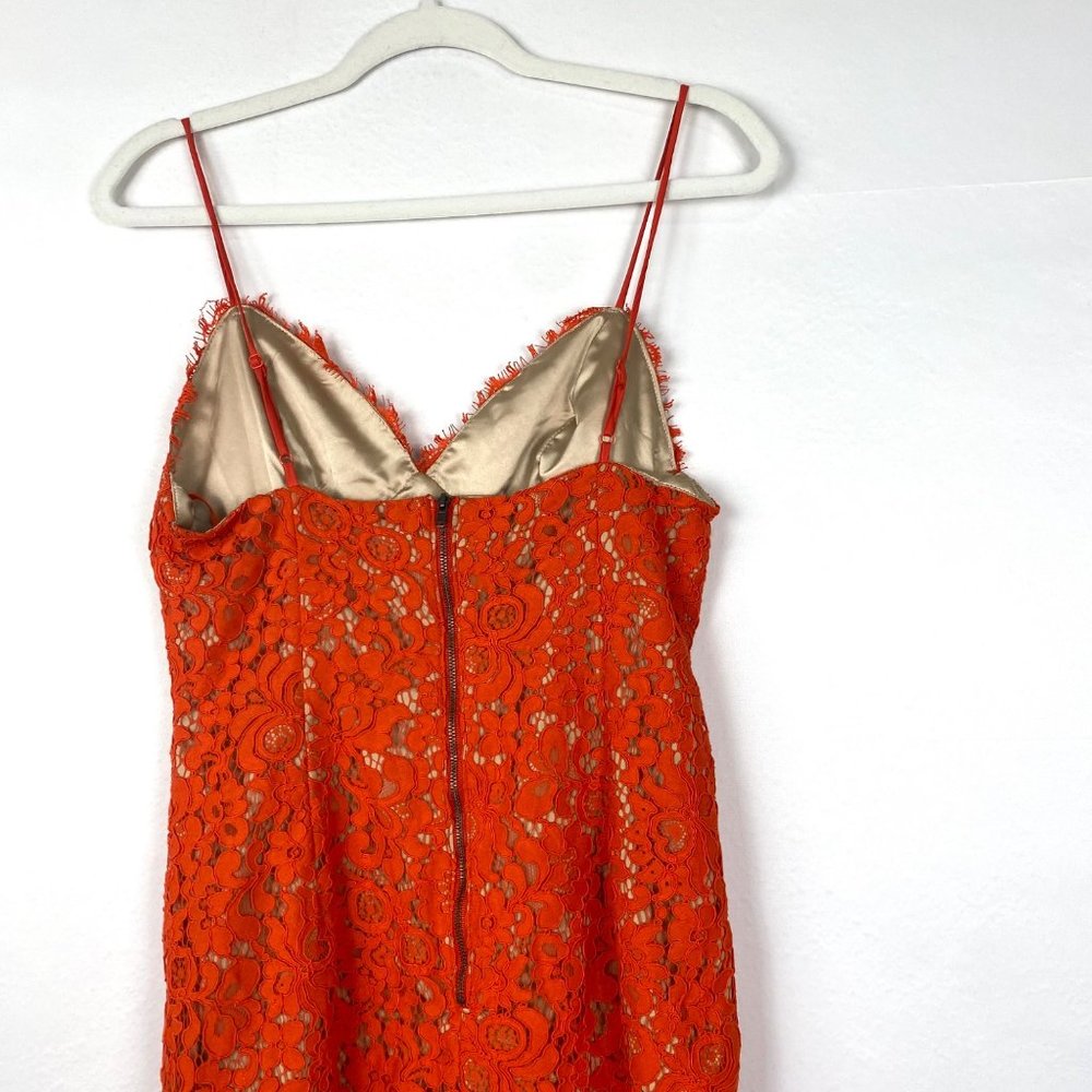 Bardot Sienna Lace Bodycon Spaghetti Strap Cocktail Midi Dress - Picture 7 of 10